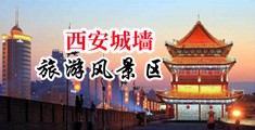 日韩8x8x中国陕西-西安城墙旅游风景区