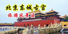 www.操处女逼国产电影中国北京-东城古宫旅游风景区